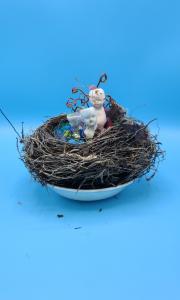 Robin's Nest